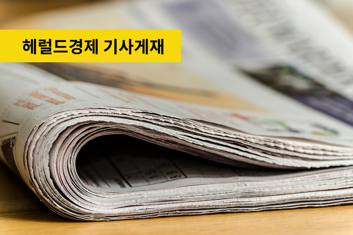 헤럴드경제에 스터디유학 기사 게재