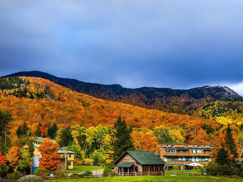 국 주니어 보딩스쿨 North Country School 노스 컨트리 스쿨