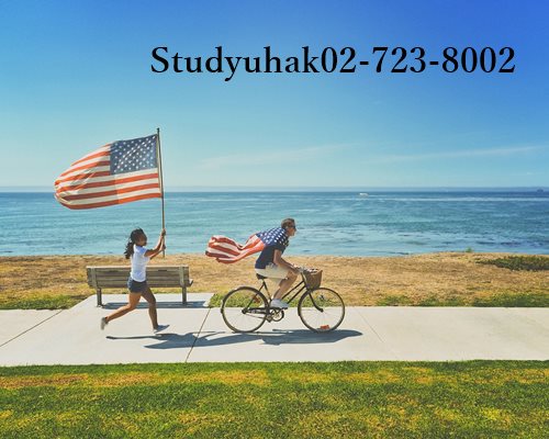 미국 동반비자 J1 방문연구원 합격 후기 스터디유학과 함께라 가능했습니다