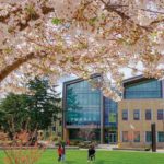 시애틀 타코마 커뮤니티 컬리지 TCC-Tacoma Community College