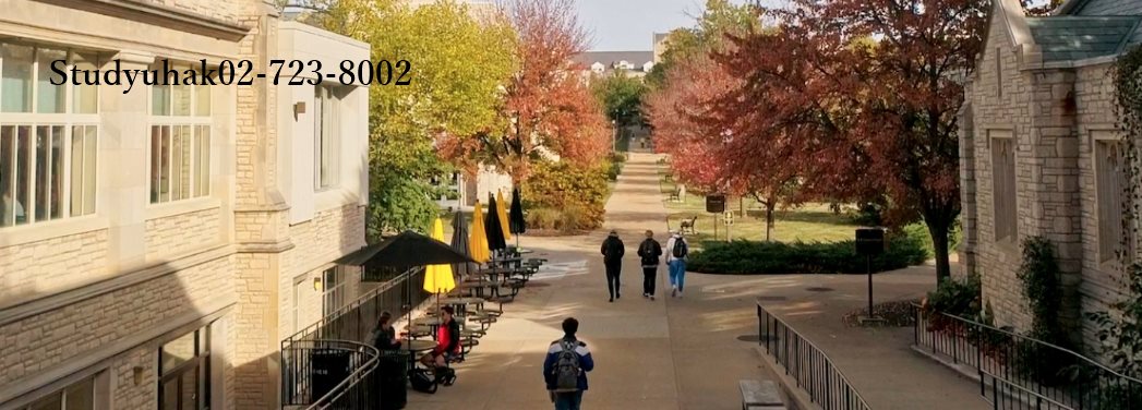 University of Missouri 국제 프로그램