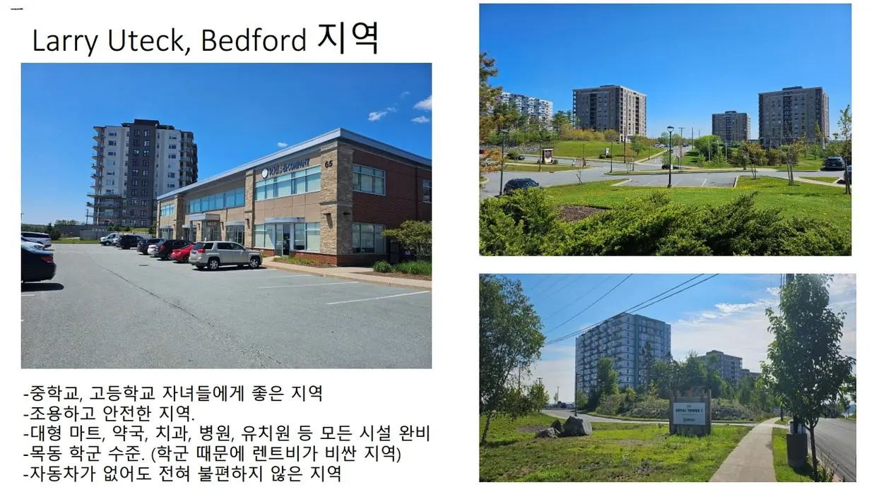 캐나다 할리팩스 자녀 무상교육 Oxford International 학부모 영어연수 프로그램